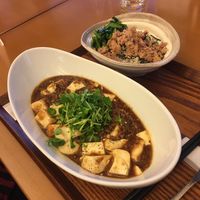 Mapo tofu at SaiShokuKenBi in Tokyo
