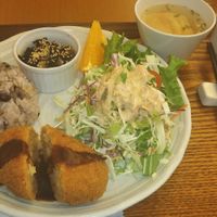 Set lunch croquette at SaiShokuKenBi in Tokyo