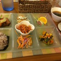 Set lunch (November 2014) at SaiShokuKenBi in Tokyo