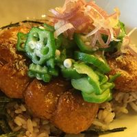 Highly recommended! at SaiShokuKenBi in Tokyo