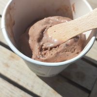 vegan chocolate icecream at Cafe Affenbrot in Luebeck