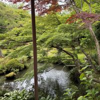 garden view  at Tofu Restaurant Seigen-in - 西源院 in Kyoto