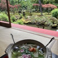 Yudofu with a view  at Tofu Restaurant Seigen-in - 西源院 in Kyoto