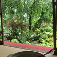Worth it for the garden at Tofu Restaurant Seigen-in - 西源院 in Kyoto