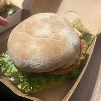   at Hans im Glück in Dresden