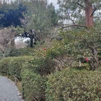  at Tenryuji Temple Shigetsu in Kyoto