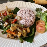Rice with tofu, mixed veg and black pepper, 79 baht  at Connect Cafe in Chiang Rai