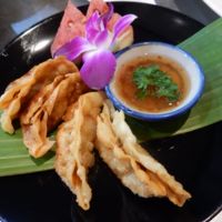 Fried gyoza (dumplings) at Connect Cafe in Chiang Rai