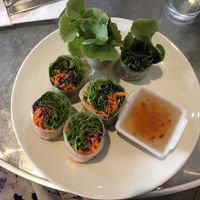 Fresh spring rolls  at Connect Cafe in Chiang Rai