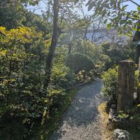  at Seizan Sodo in Kyoto