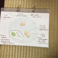 Illustrated description of each dish at Seizan Sodo in Kyoto