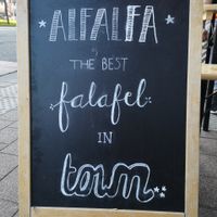 Falafel at Alfalfa in Leuven