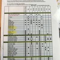   at Wakagiri in Nozawaonsen