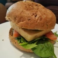 tofu burger at Badde Manors in Glebe