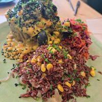 Main at O Macrobiotico in Porto