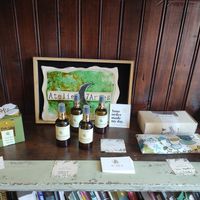 Oils at O Macrobiotico in Porto