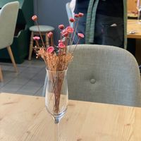  at O Macrobiotico in Porto