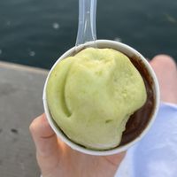   at Sladoledarna in Koper