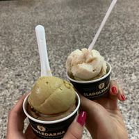 All vegan ice creams at Sladoledarna in Koper