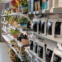Take home coffee and plants at Little Things Coffee in Blackburn