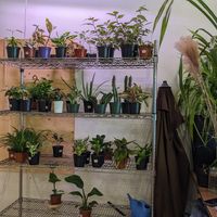  at Cafe Jardin in Verdun