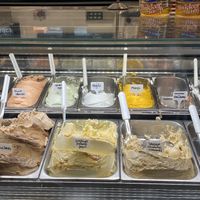 The back row are the dairy free flavours  at Gio Gelatetia in Kralendijk