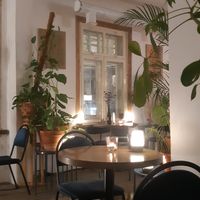 view of the green interior 🌱 at Mazā Terapija in Riga