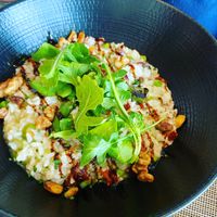 Risotto by Chef Alessandro at Azur - Four Seasons Hotel in Tunis