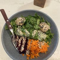   at Organi-K in Sayulita