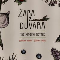  at The Singing Nettle - Žara iz duvara in Sarajevo
