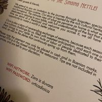   at The Singing Nettle - Žara iz duvara in Sarajevo