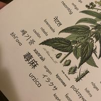   at The Singing Nettle - Žara iz duvara in Sarajevo