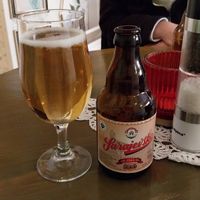  at The Singing Nettle - Žara iz duvara in Sarajevo