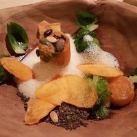 wo sorts of pumkin (chestnut and sweet dumpling) roasted hennep, leaves of Brussels sprouts, fermented soy at 't Aards Paradijs in Merendree
