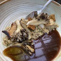 Course 5 at Naturell in Ghent