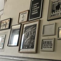   at Vegan 365 Kitchen in Skopje