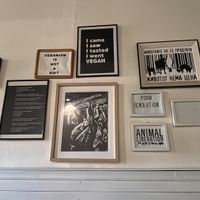   at Vegan 365 Kitchen in Skopje