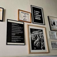 Vegan messages at Vegan 365 Kitchen in Skopje