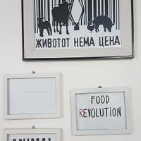 The messages. Animal liberation at Vegan 365 Kitchen in Skopje