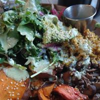 Amazing salad at Tribal All Day Cafe in Dallas