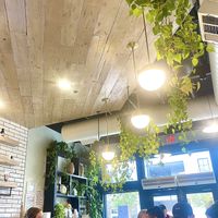 Interior of cafe  at Tribal All Day Cafe in Dallas