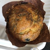 vegan lemon blueberry muffin  at Looney Bean in Bishop