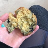 inside of vegan lemon blueberry muffin  at Looney Bean in Bishop
