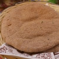 Brown Pittas at Humpit in York