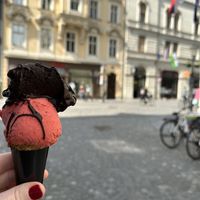   at Vigo Ice Cream in Ljubljana