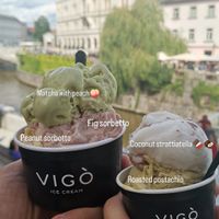 Vigo ice cream sorbetto flavours at Vigo Ice Cream in Ljubljana