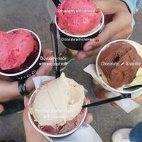 Vigo ice cream sorbetto flavours at Vigo Ice Cream in Ljubljana