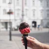 Dark chocolate and raspberry sorbet at Vigo Ice Cream in Ljubljana
