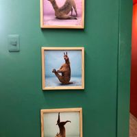 Cute Decor at De La Llama in Quito