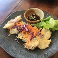 Vegan gyoza at Rain or Shine in Koh Phangan